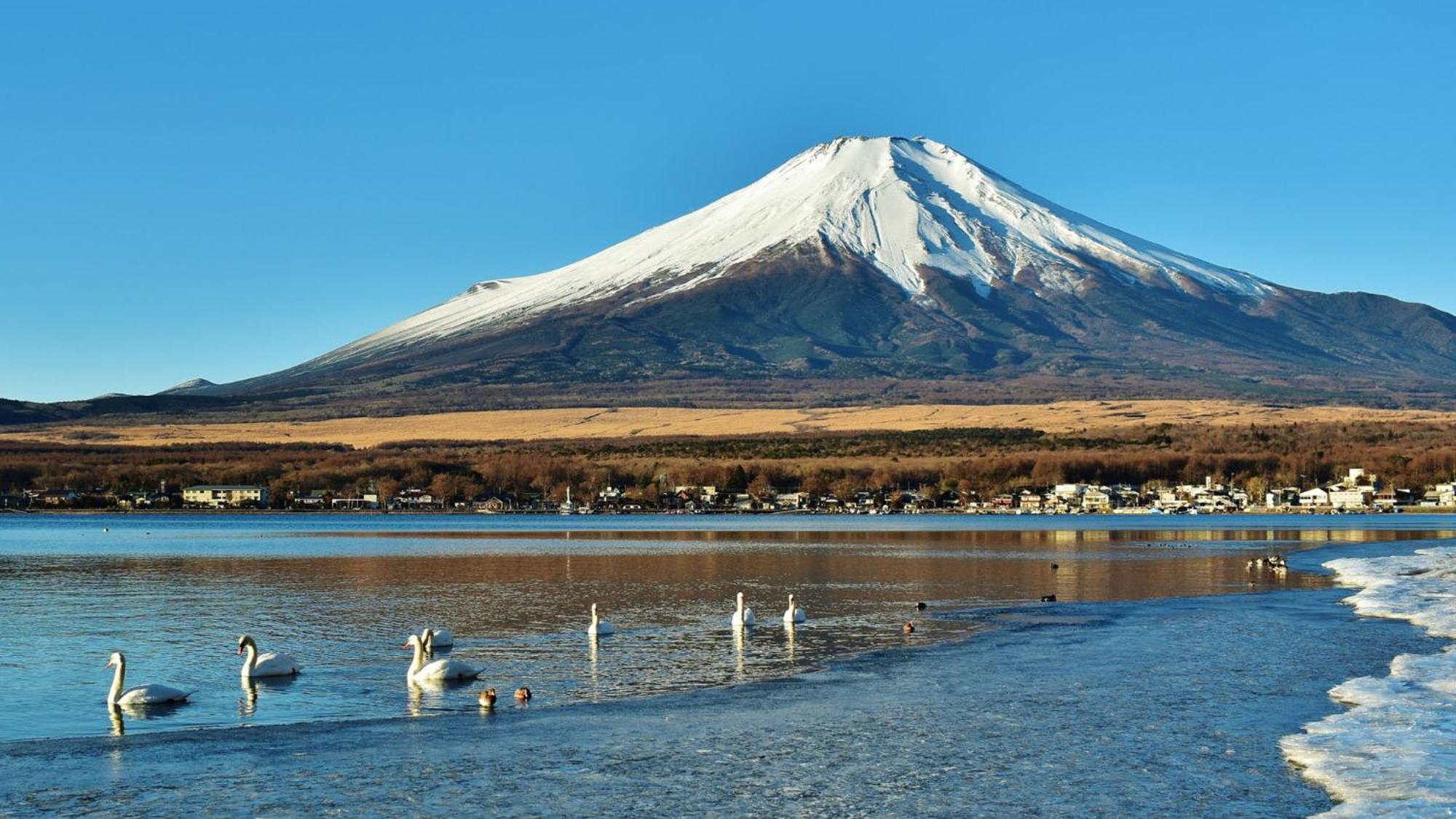 Toyoko Inn Shin-Fuji-Eki Minami-Guchi Fuji  Bagian luar foto